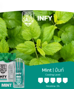 INFY-มิ้นท์-Mint