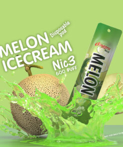 Melon Icecream